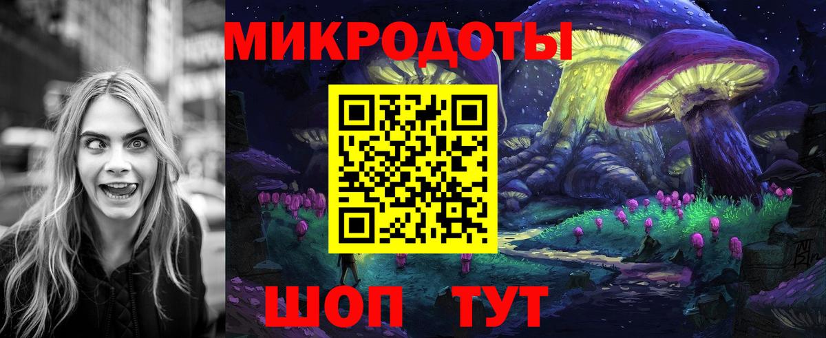 Кропоткин  Псилоцибиновые грибы Psilocybine cubensis  Вход с VPN 